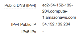 public ip